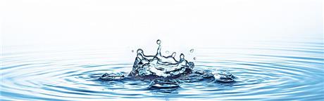 Banner Picture